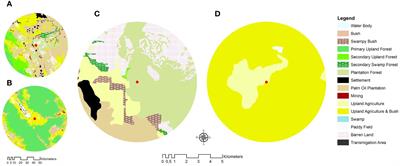 The effect of land cover on the foraging behavior and pollen in the honey of the giant bee Apis dorsata in Sumatra